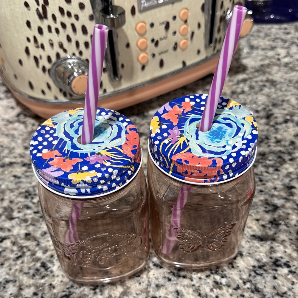 Pioneer Woman Jar Glasses